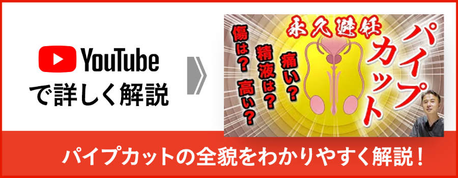 パイプカットの全貌をわかりやすく解説